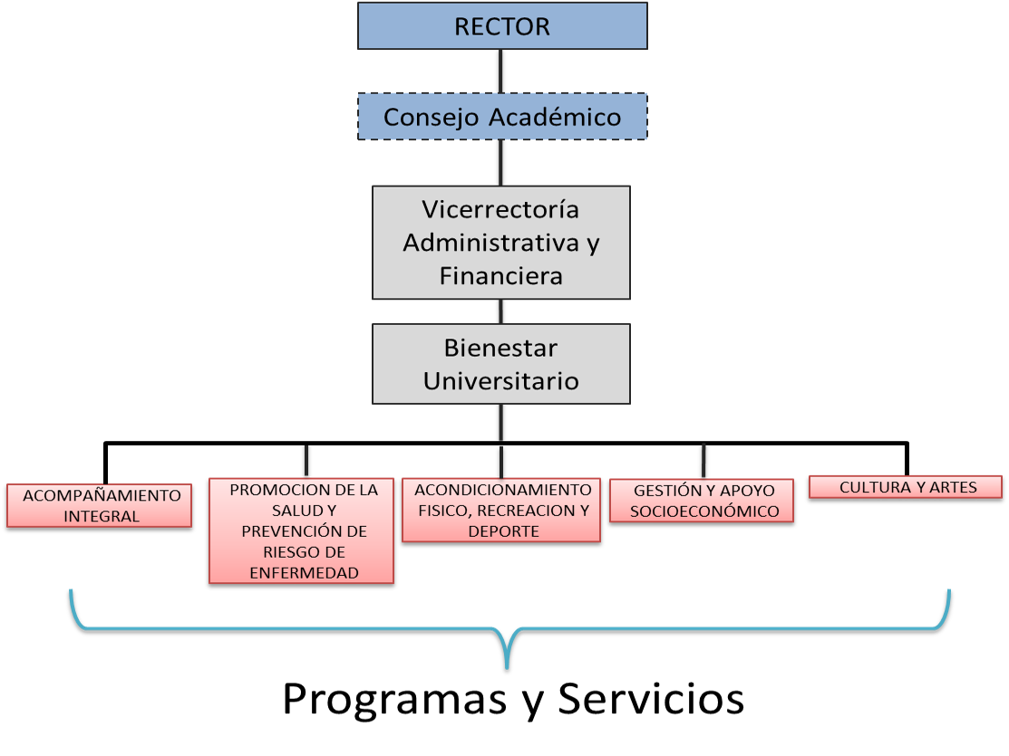 Estructura Y Funciones